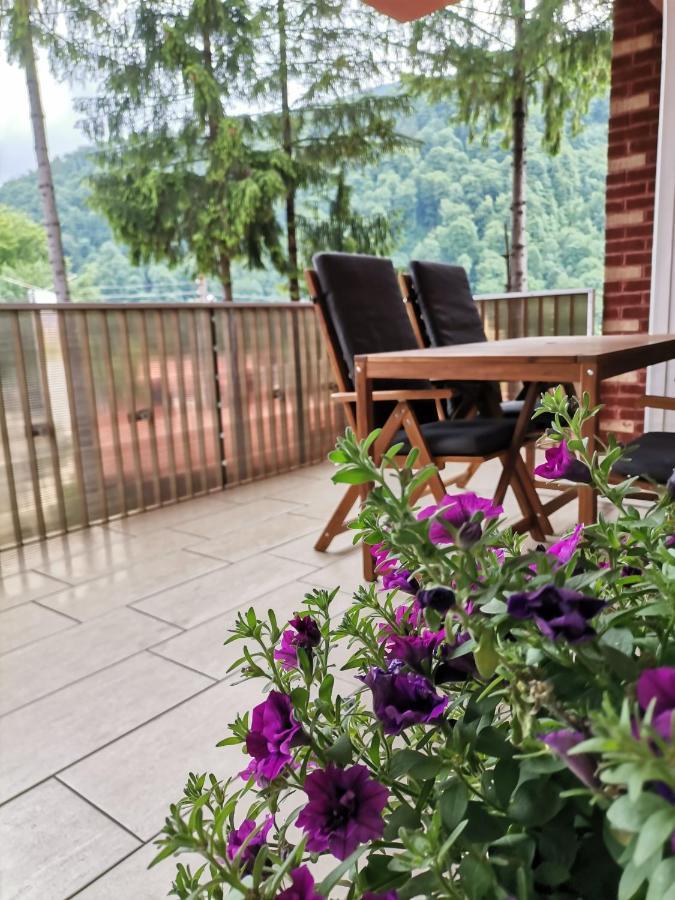 Criss Apartament Sinaia Eksteriør billede